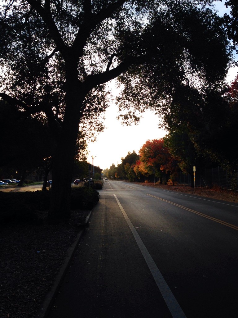 Fall colors, menlo park CA, morning run, sunrise