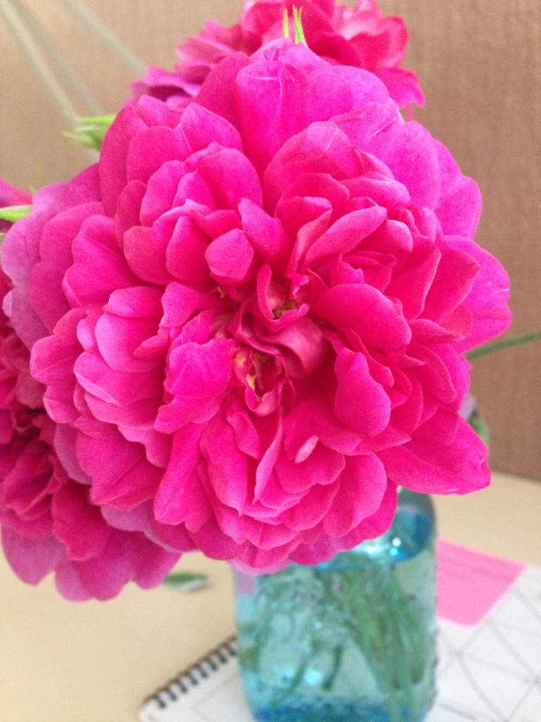 Pink Rose Bouquet in vintage blue jar