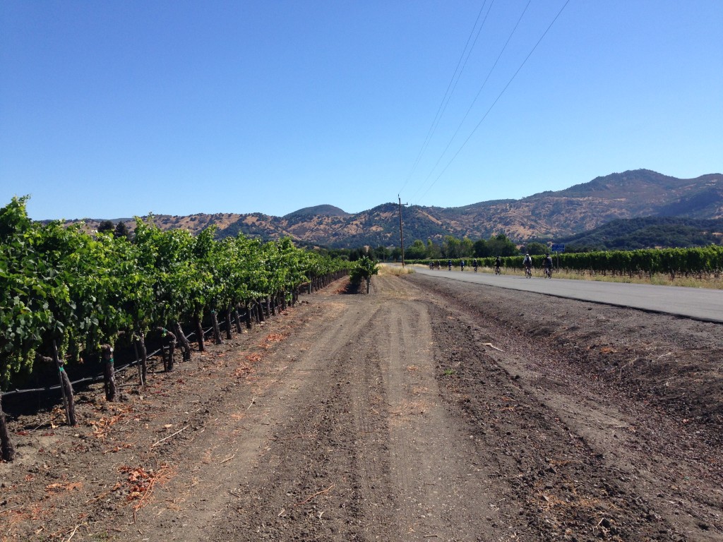 Yountville, CA Yount St. Vineyards