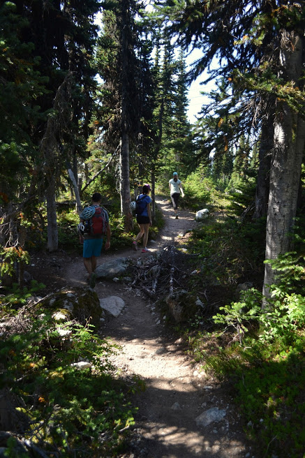 blackcomb-whislter-mountain-peak-hike-5