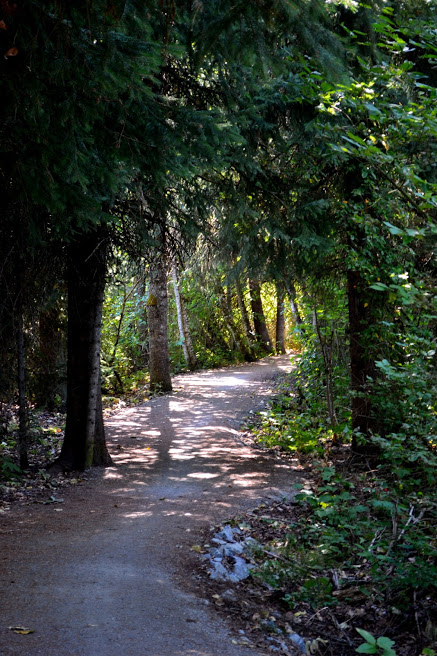 creek trail