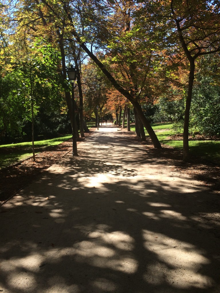 parque-del-retiro-madrid-running-path