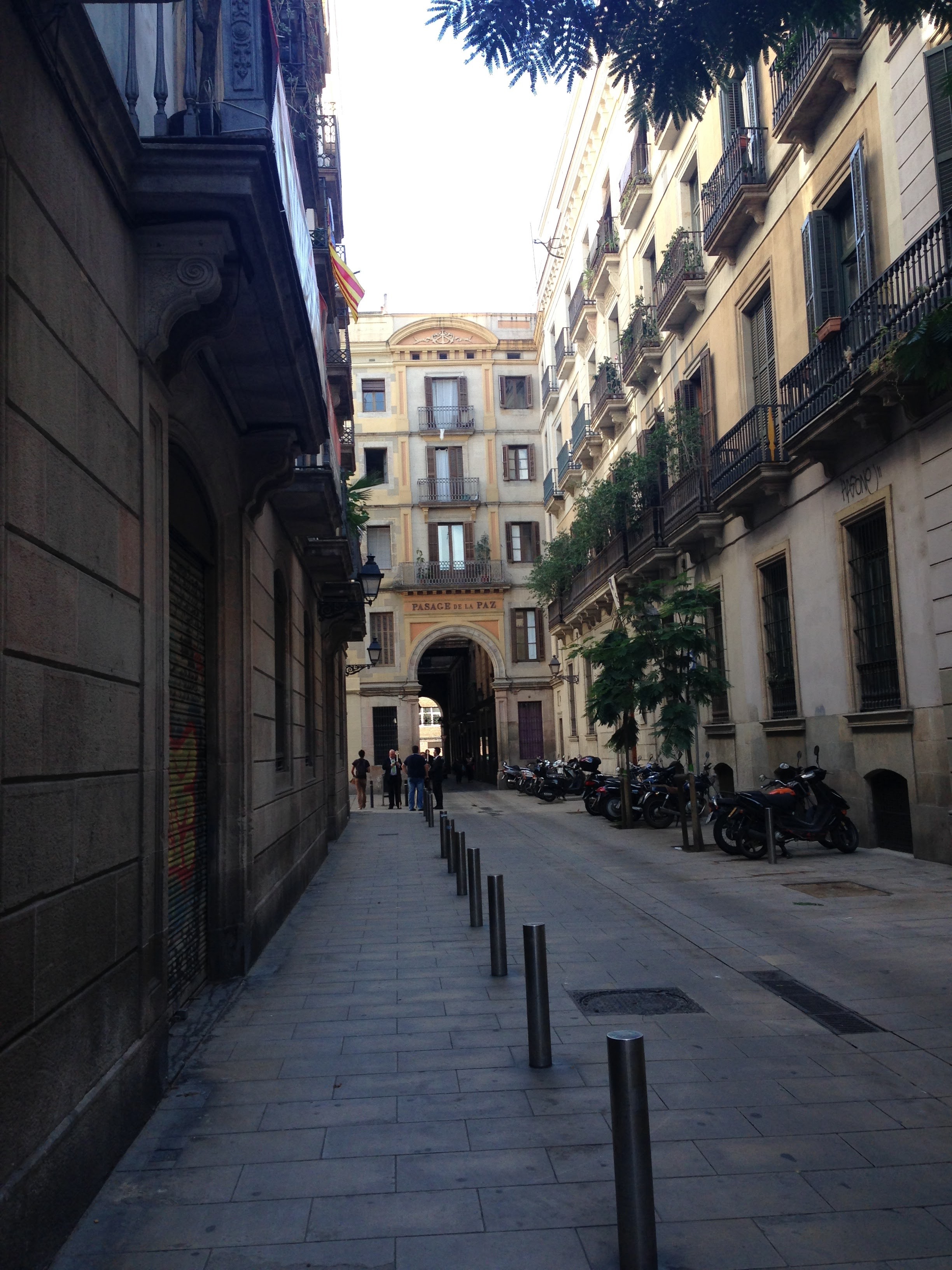 el-gotic-neighborhood-barcelona-spain-street-passage-de-la-paz