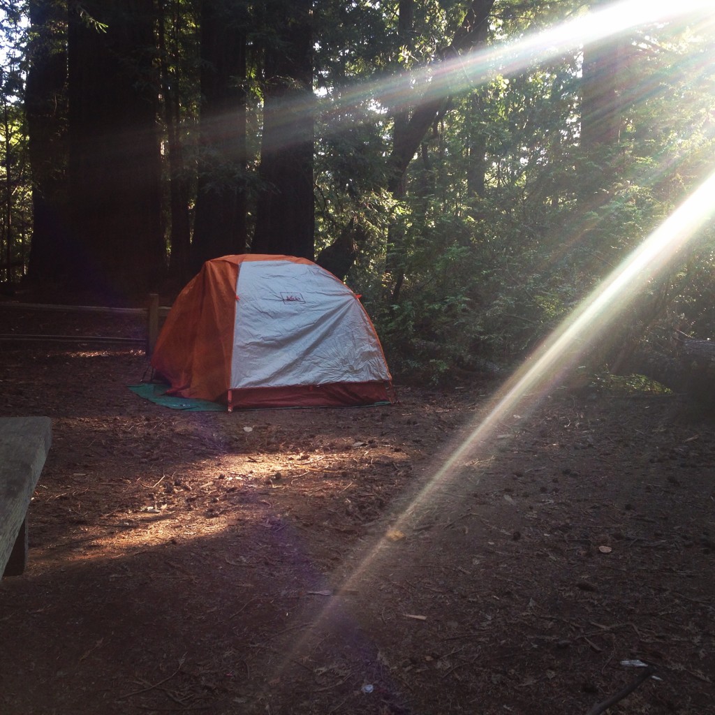 Camping in Butano State Park-camping-in-