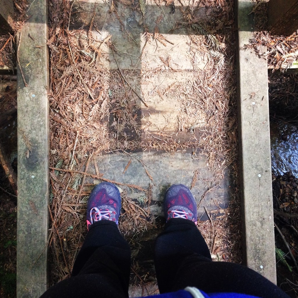 Hiking in Butano State Park, Butano Creek Crossing Nike Terra Kiger