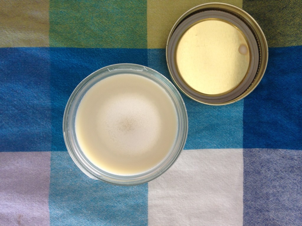 DIY Shea Butter and Coconut Oil Body Butter Treading Lightly