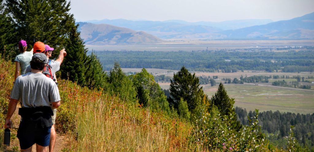 Teton Village Wyoming Hiking Wildflower Trail