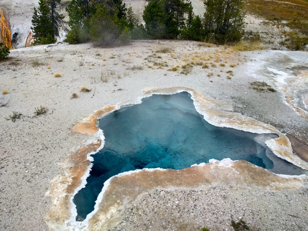 One Day in Yellowstone National Park 