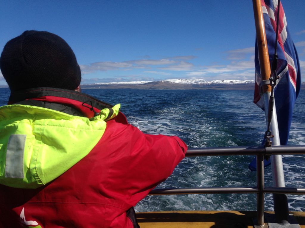 Sustainable, Ethical Travel in Iceland: Whale Watching