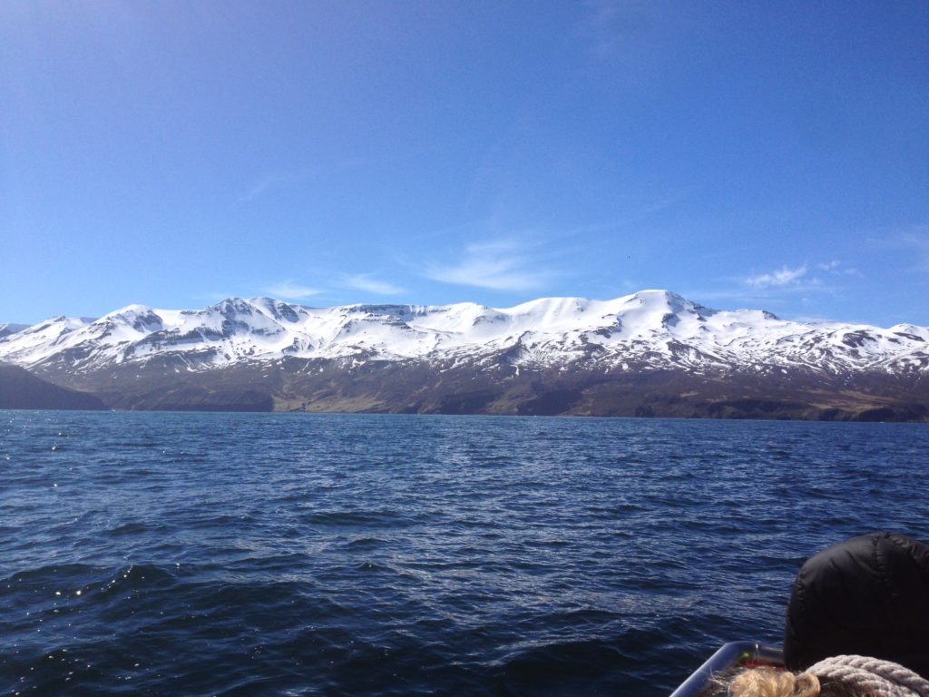 Iceland Ring Road Itinerary: Husavik Whale Watching North Sailing