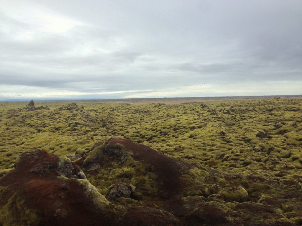 Sustainable, Ethical Travel in Iceland: Moss Covered Rocks